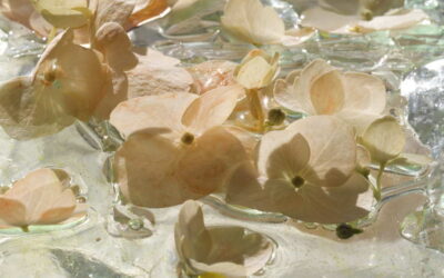 Danse sur l&rsquo;eau 03