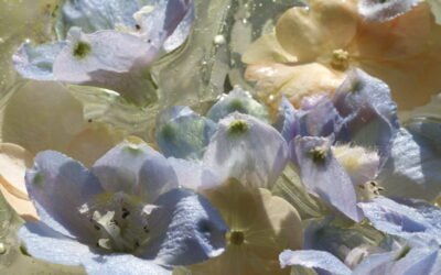 Danse sur l&rsquo;eau 04