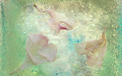 Envol 13