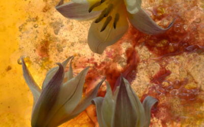 Fresque florale 05
