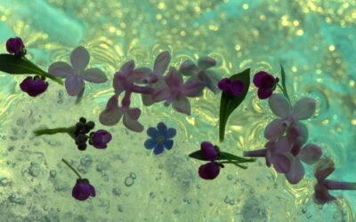 Fresque florale 06